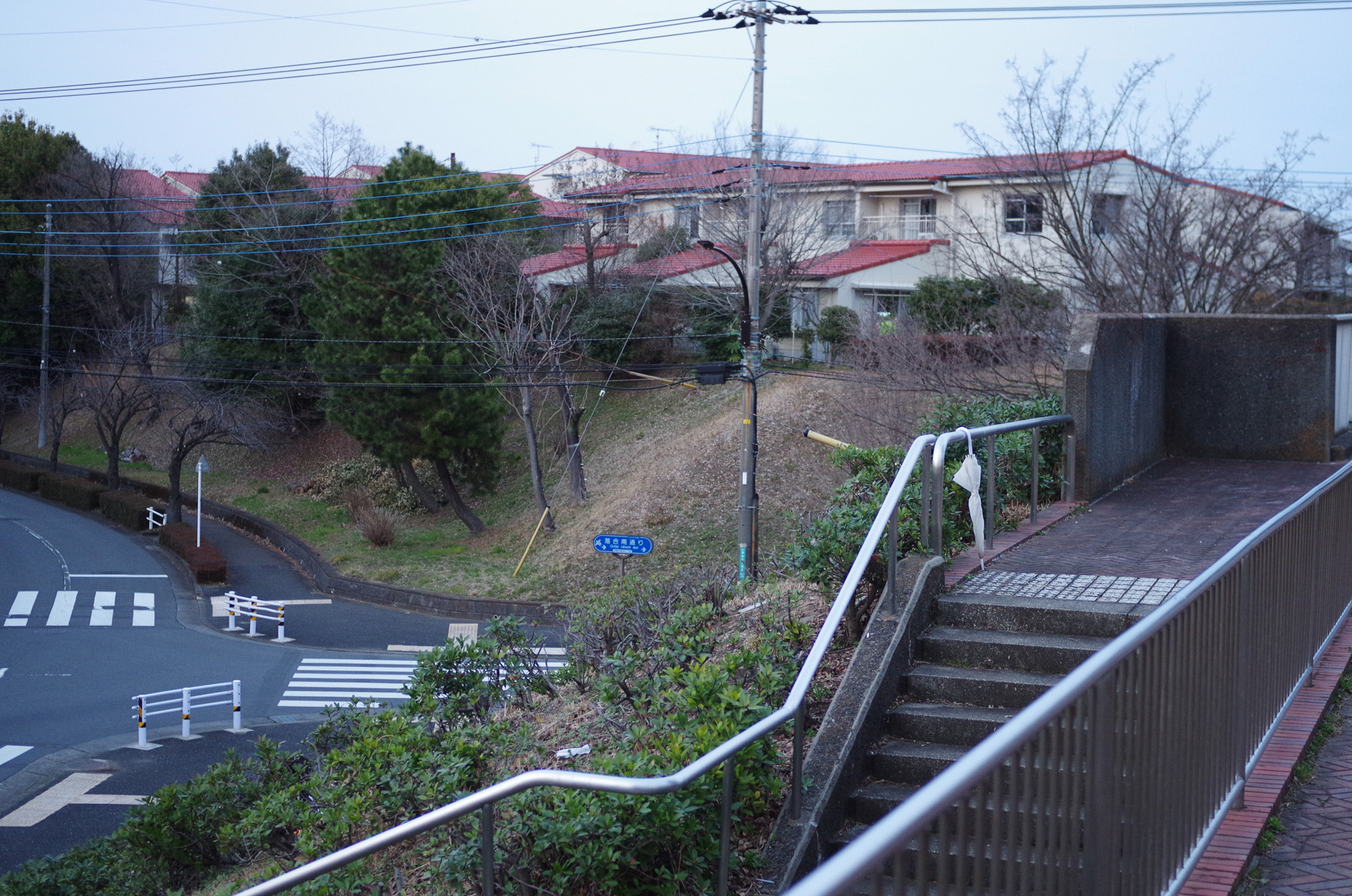 f:id:com:20200301202507j:image