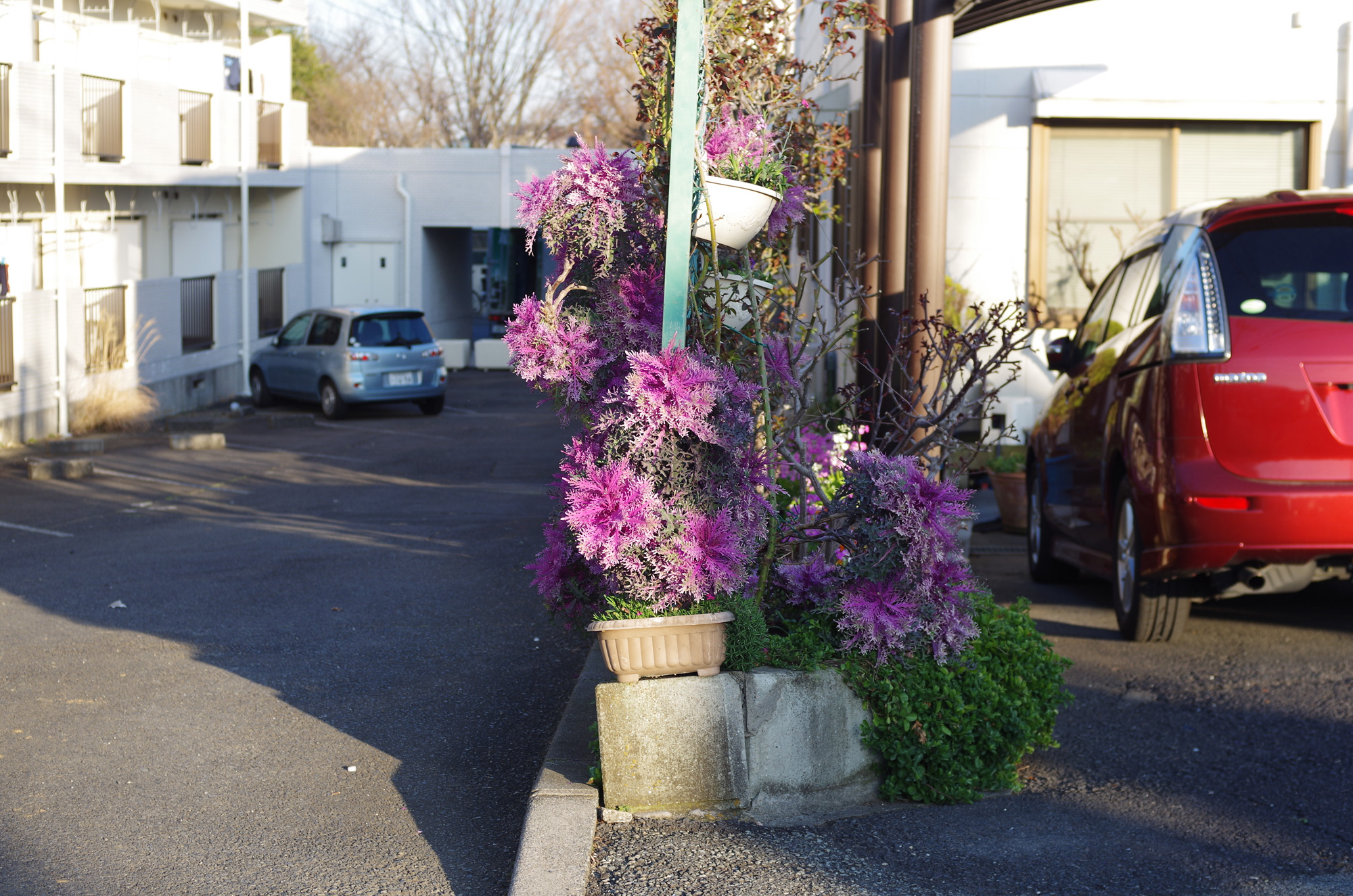 f:id:com:20200306181103j:image