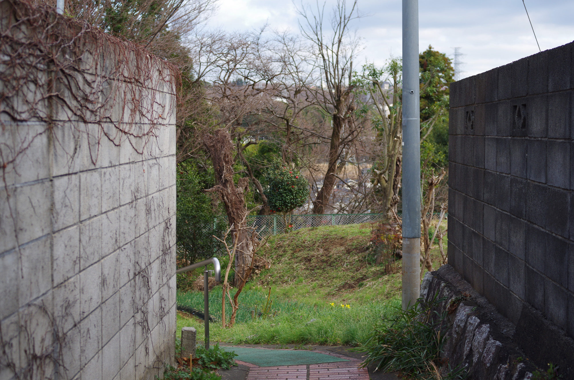 f:id:com:20200309182531j:image