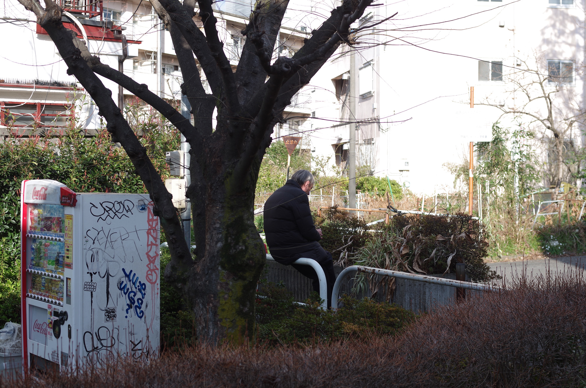 f:id:com:20200317155917j:image