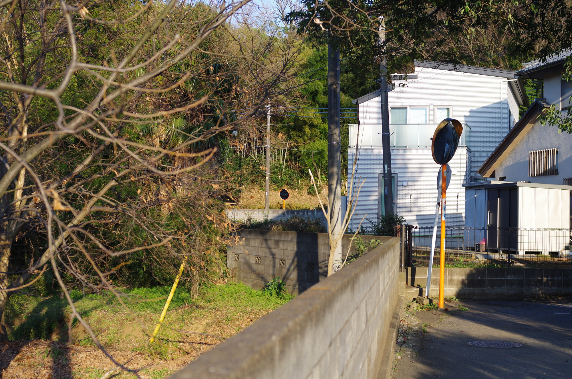 f:id:com:20200318165103j:image