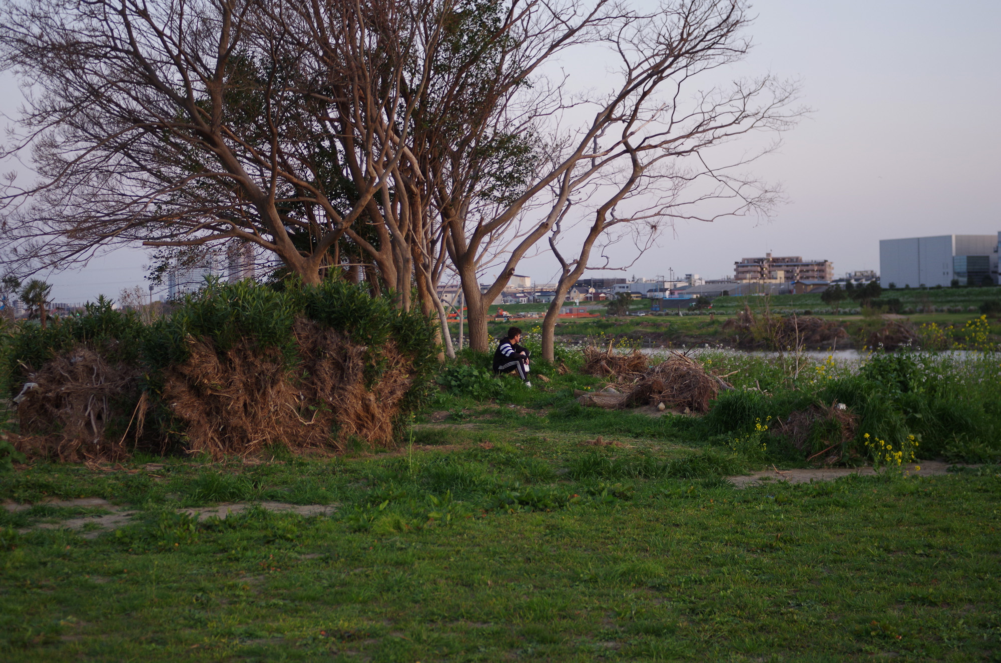 f:id:com:20200321175250j:image