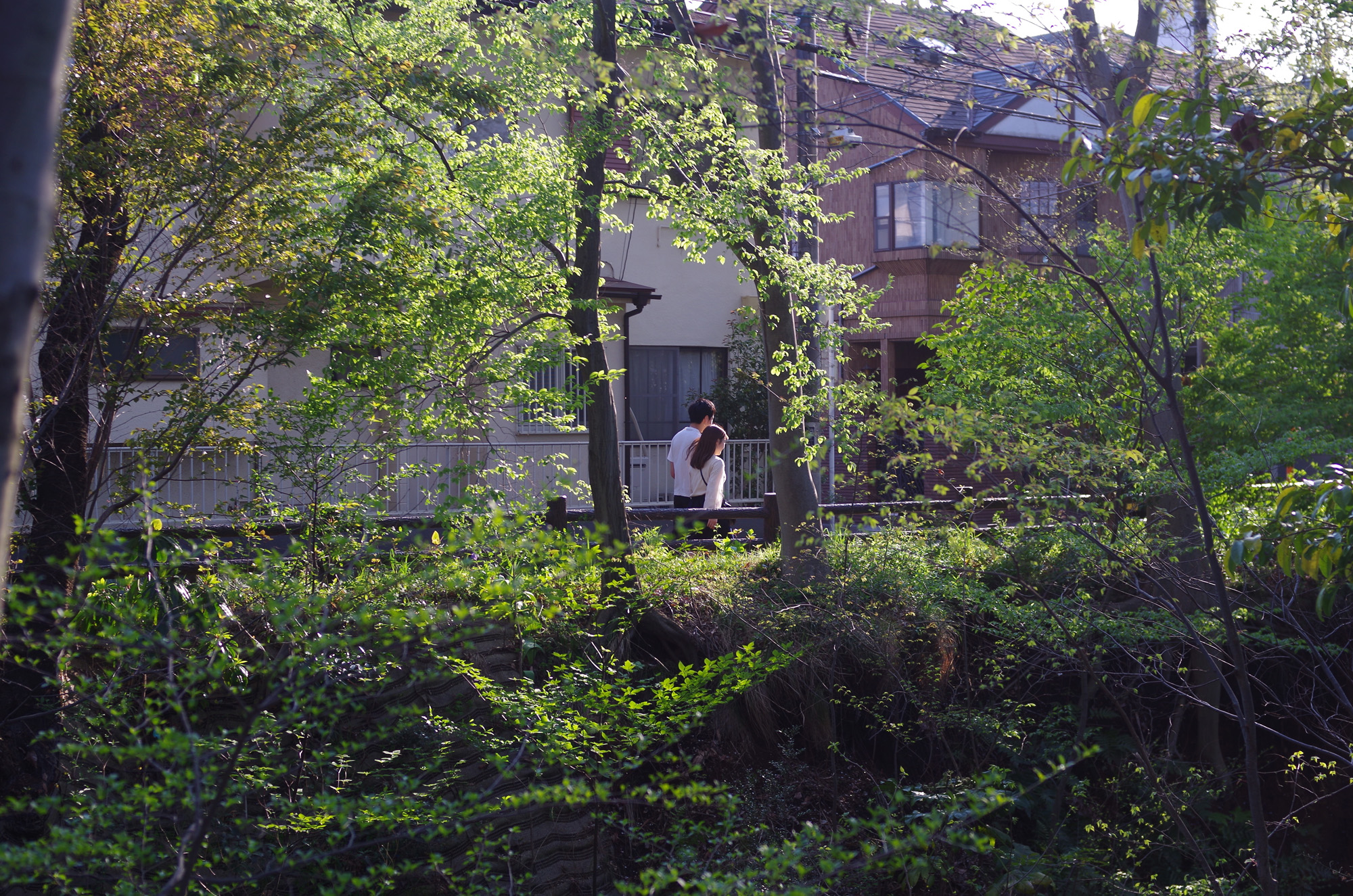 f:id:com:20200404161512j:image