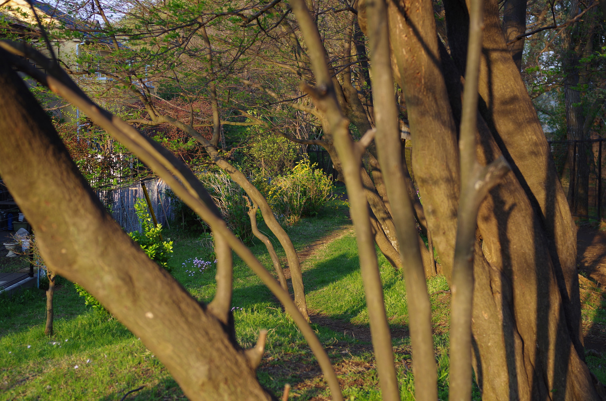 f:id:com:20200404171704j:image