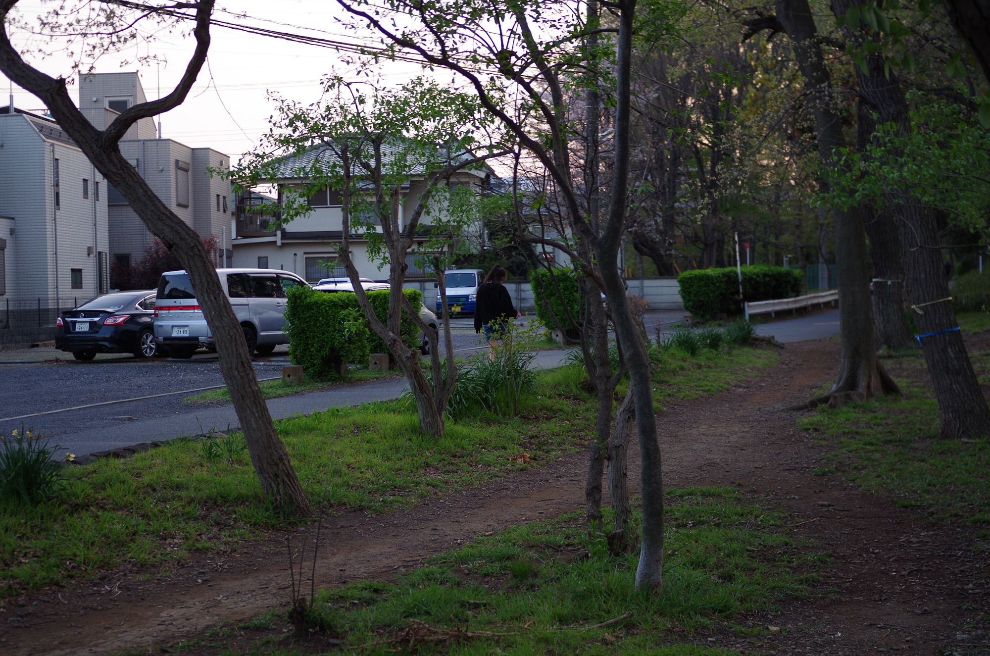 f:id:com:20200404175350j:image