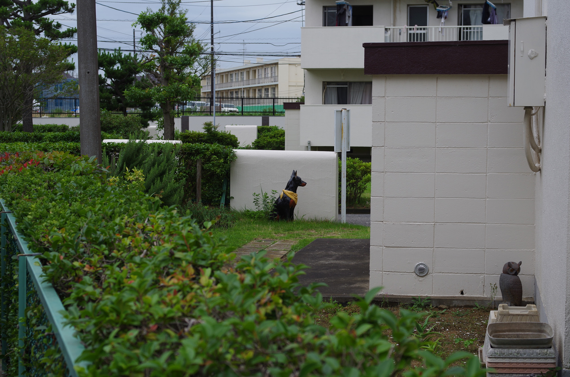 f:id:com:20200704144043j:image