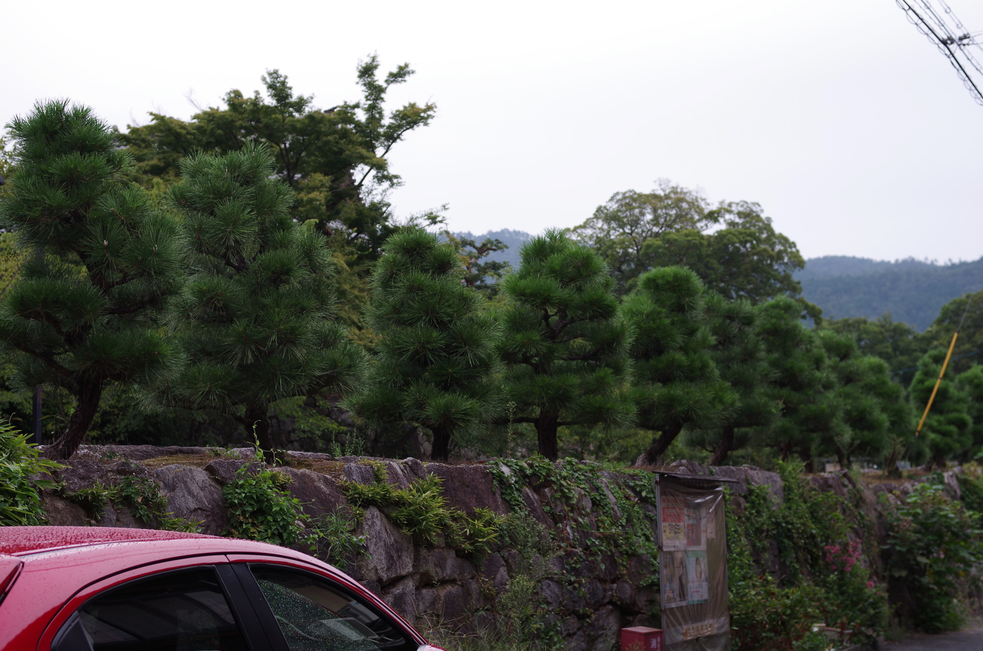 f:id:com:20200909163335j:image