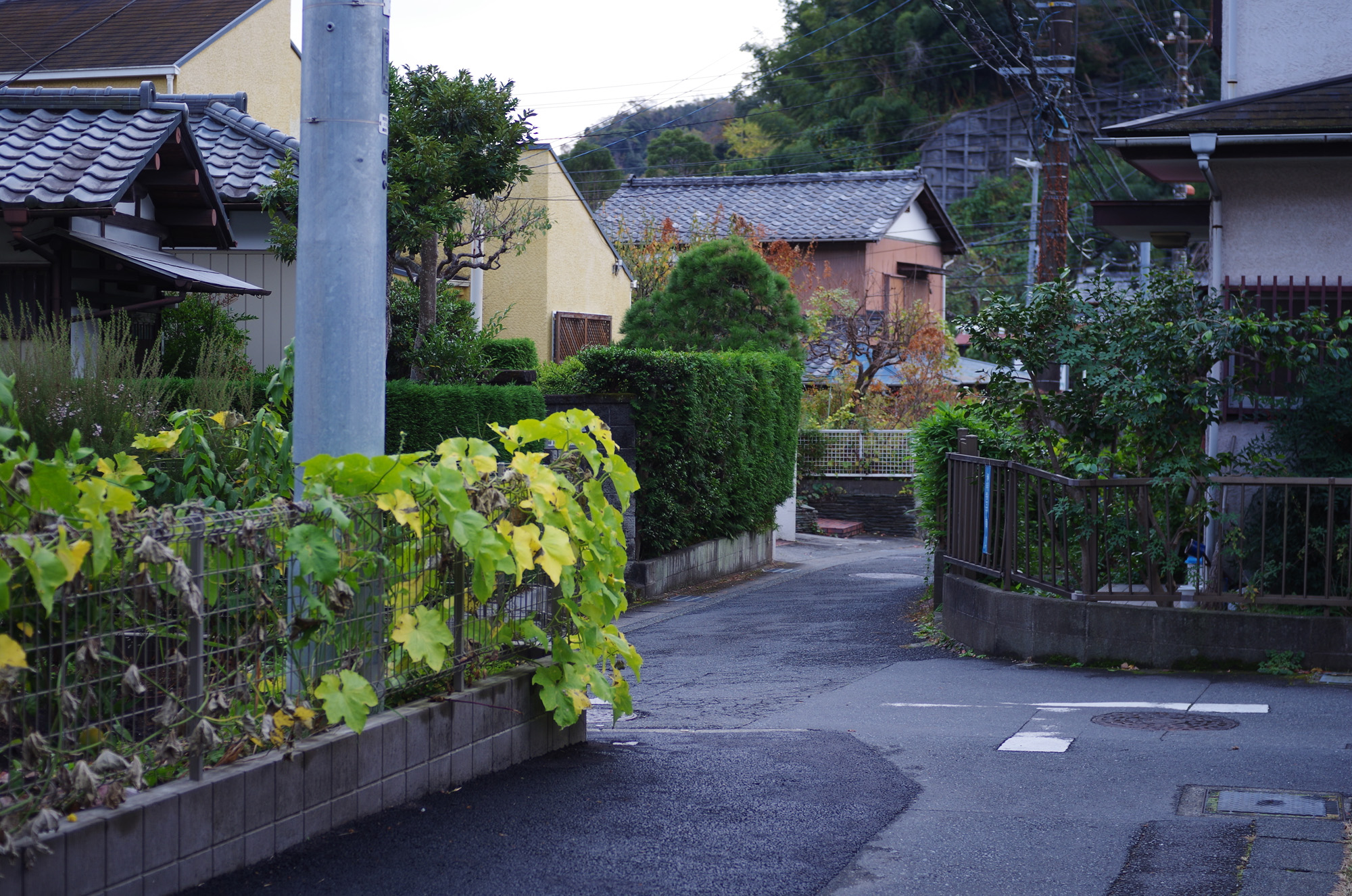 f:id:com:20201125145637j:image