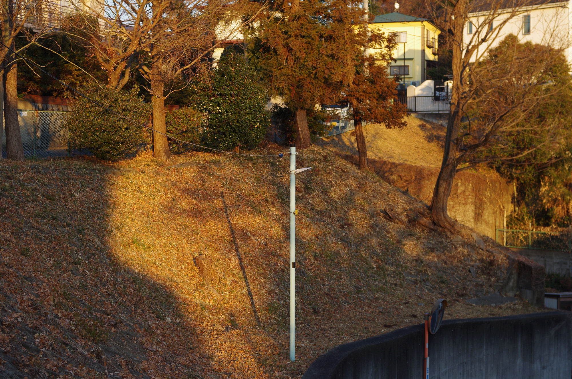 f:id:com:20210121161847j:image