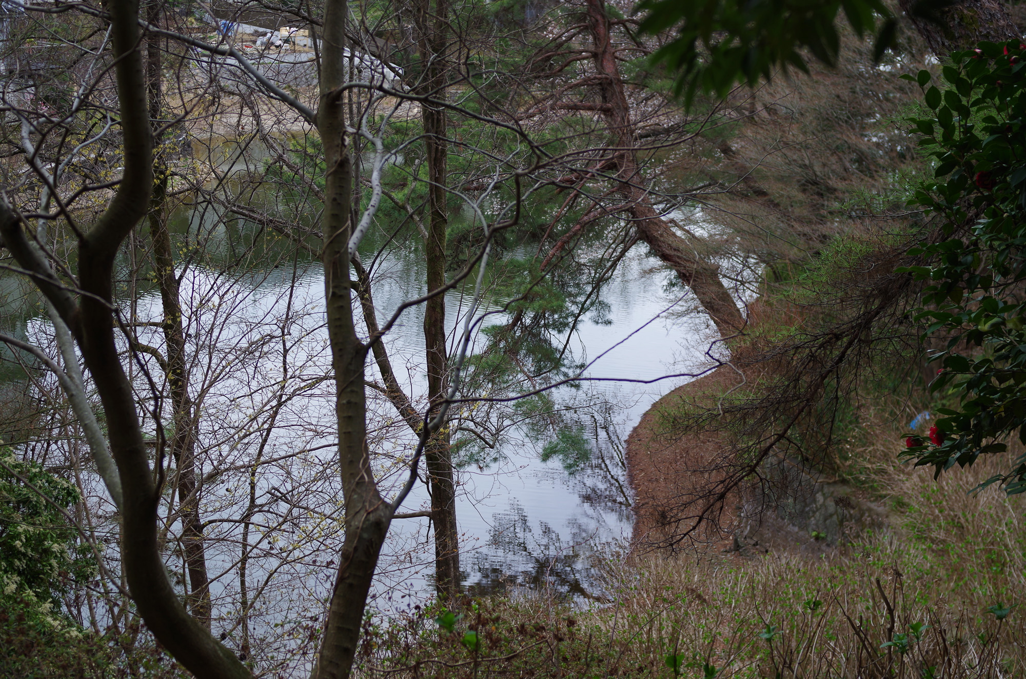 f:id:com:20210320125746j:image