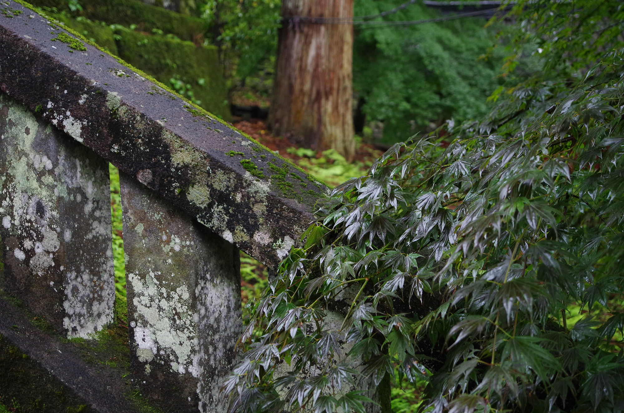 f:id:com:20210615131859j:image