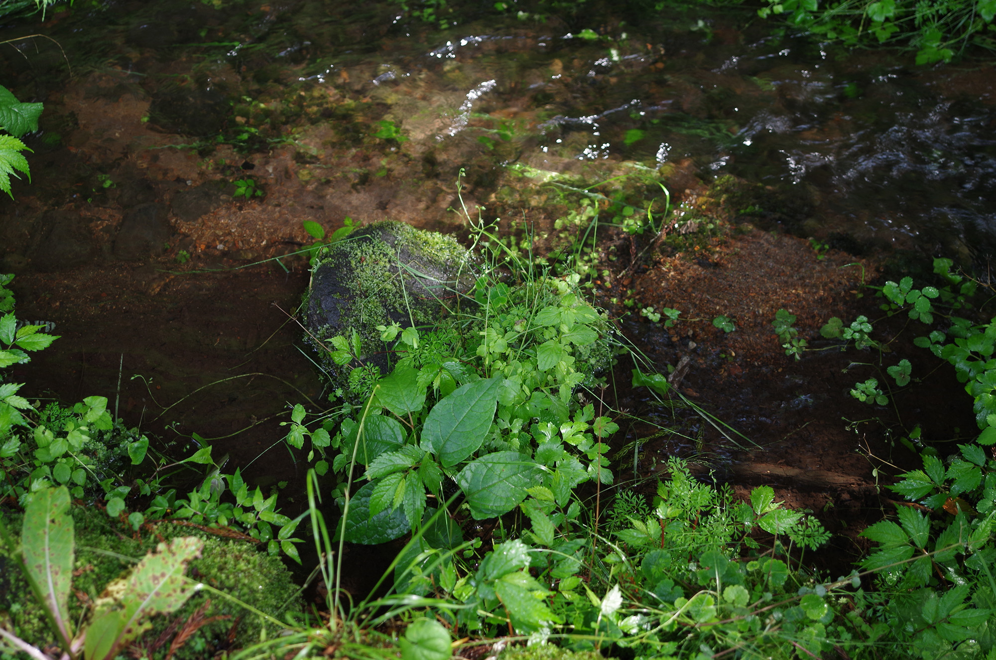 f:id:com:20210615152915j:image