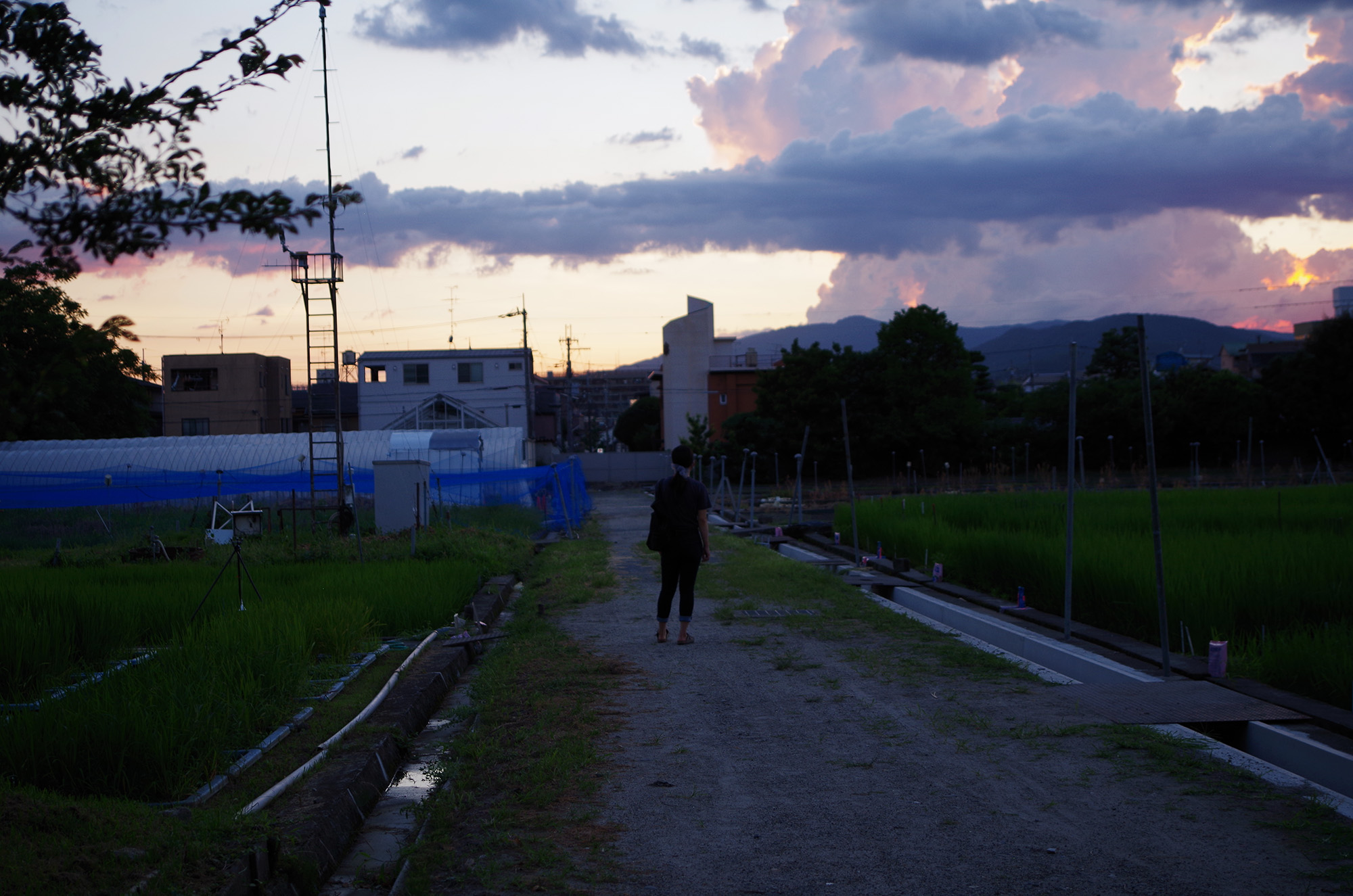 f:id:com:20210719190853j:image