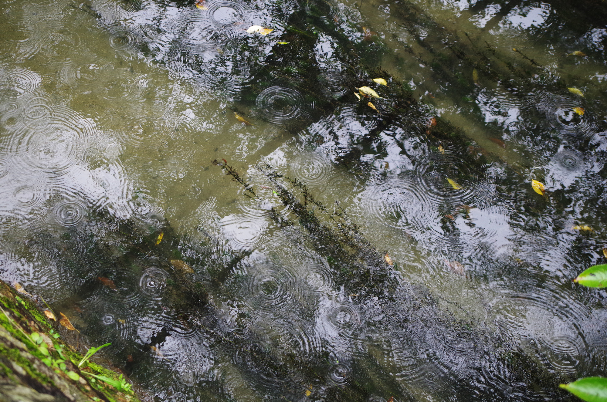 f:id:com:20210902164502j:image