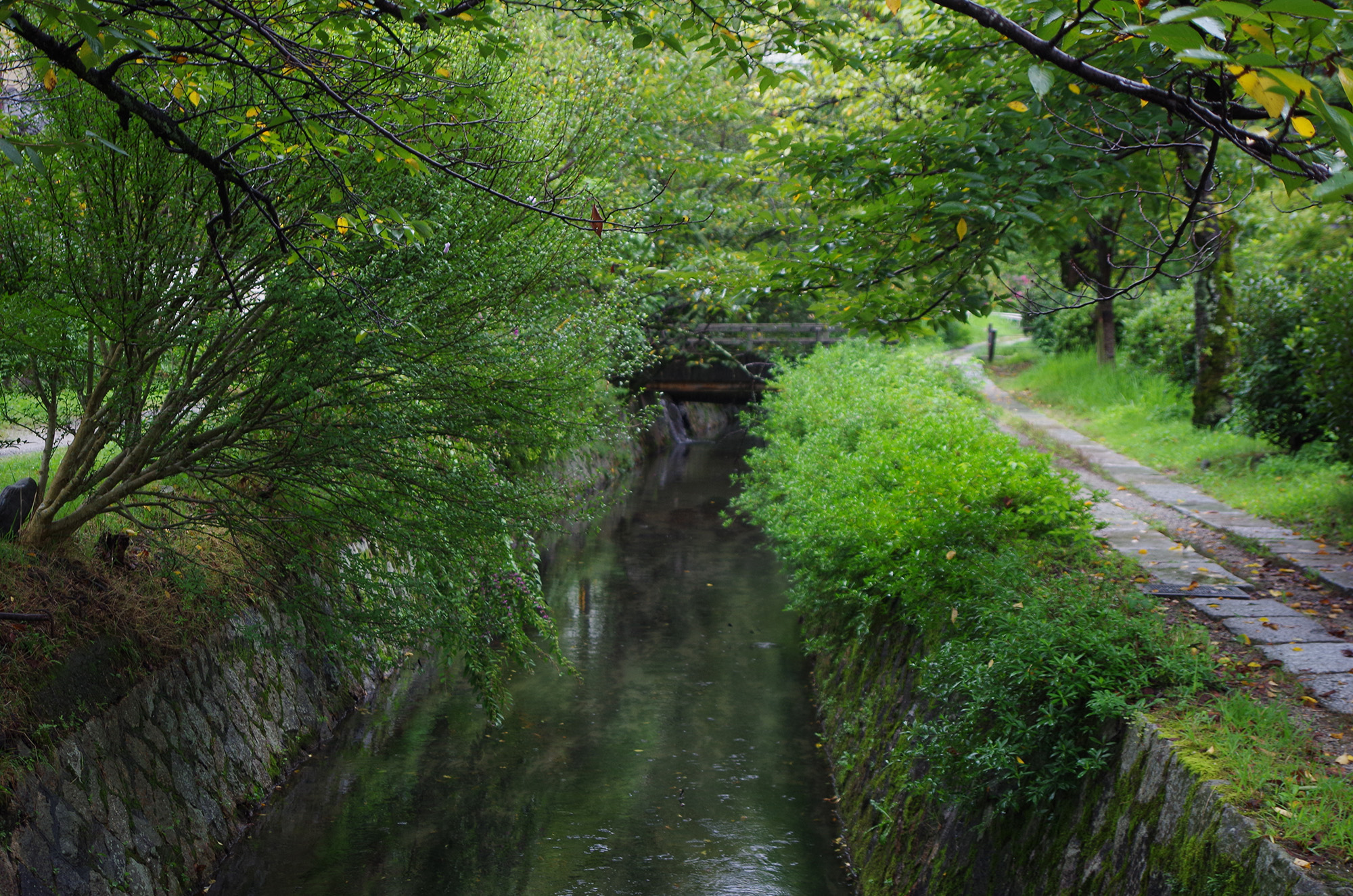 f:id:com:20210902164757j:image