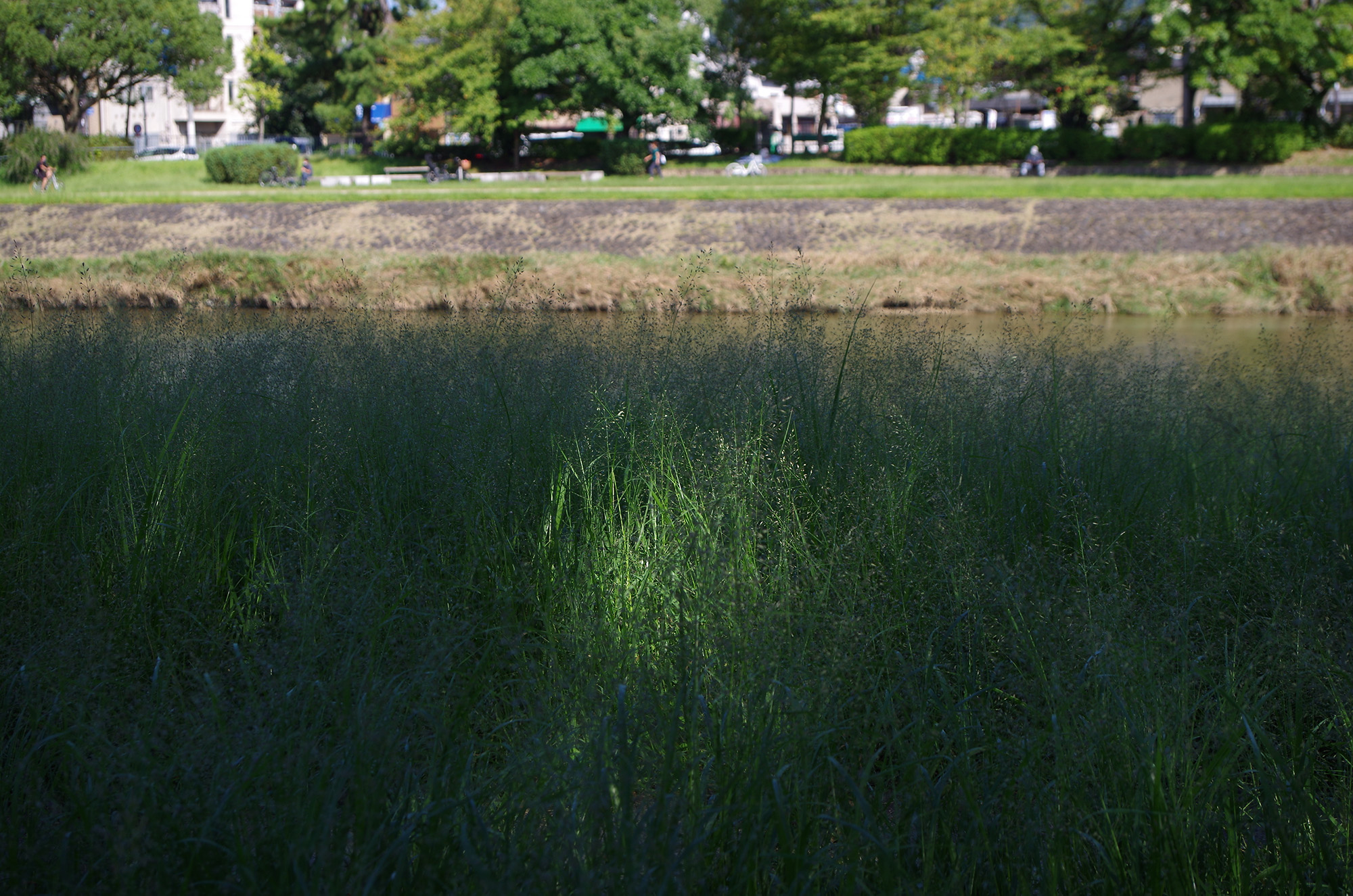 f:id:com:20211002135353j:image