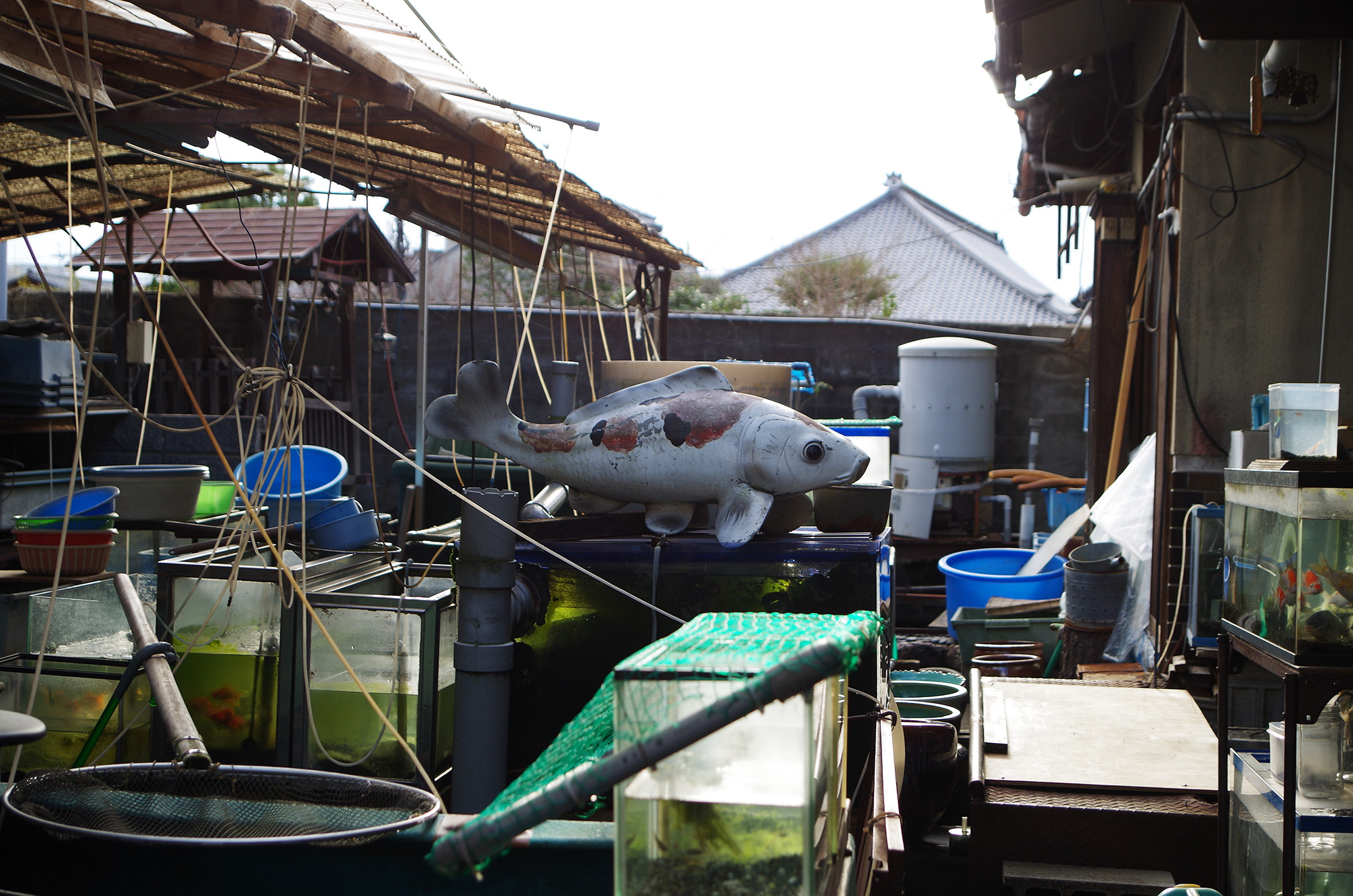 f:id:com:20220104150646j:image