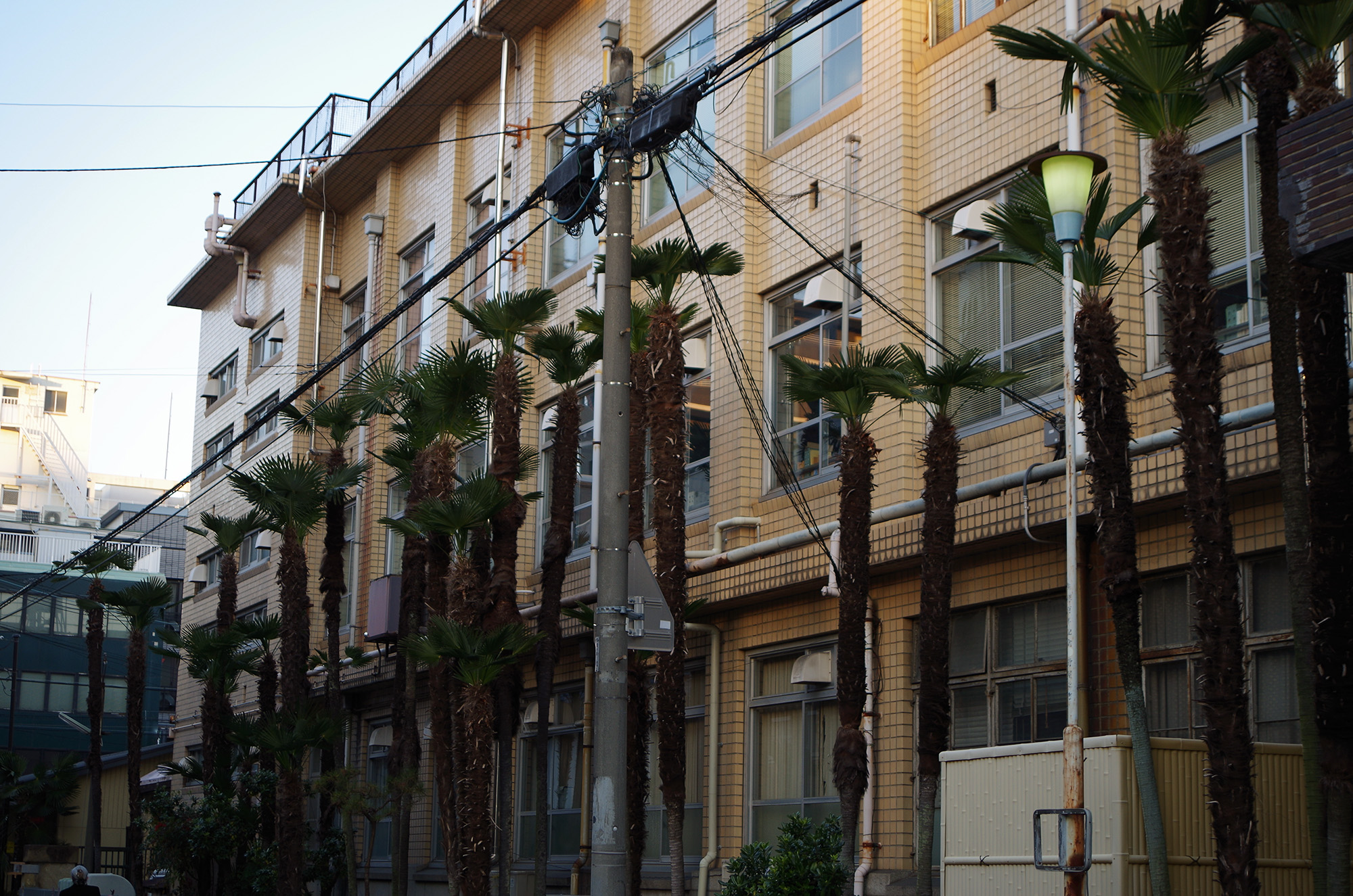 f:id:com:20220108163312j:image