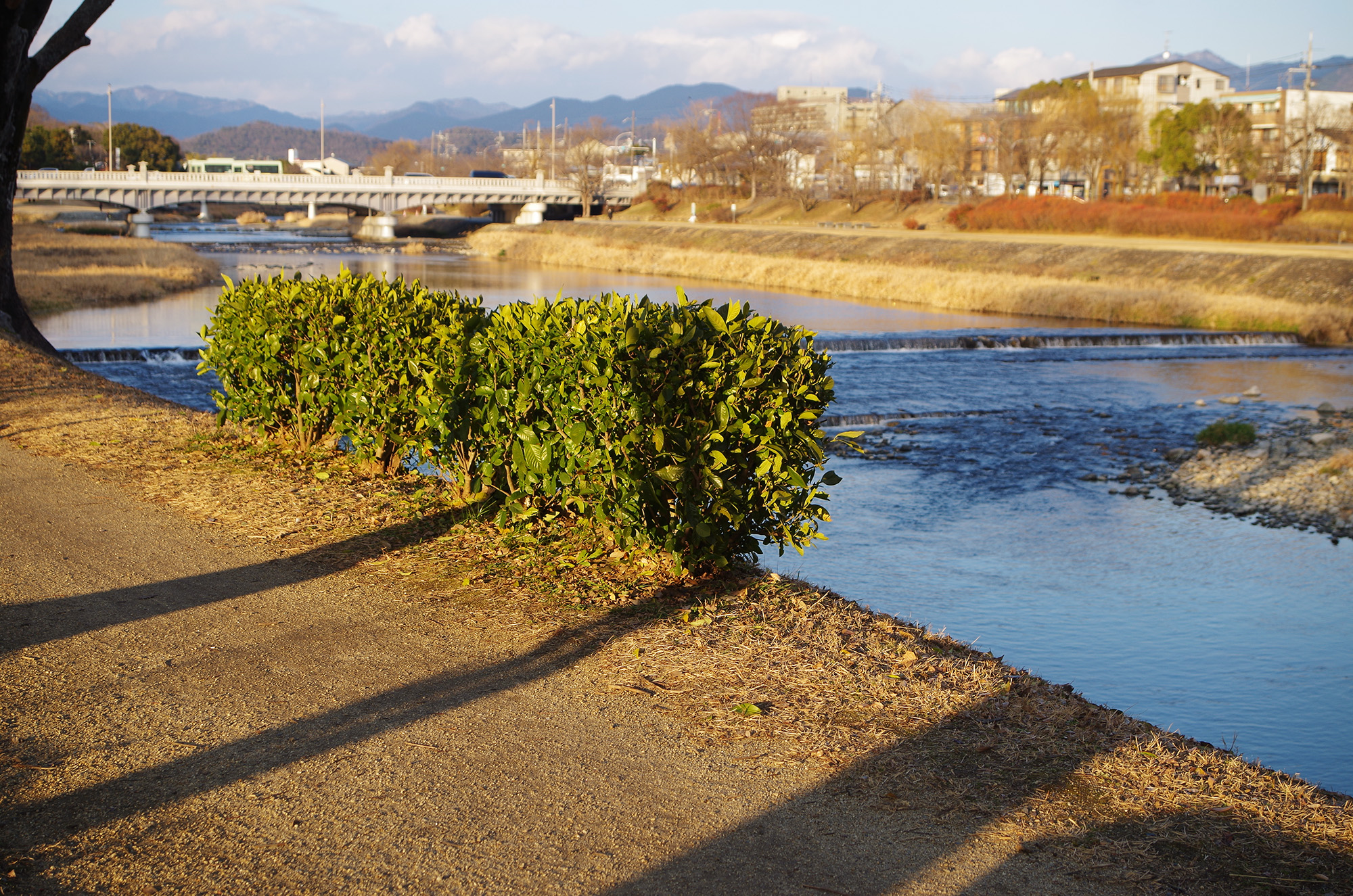 f:id:com:20220113161433j:image