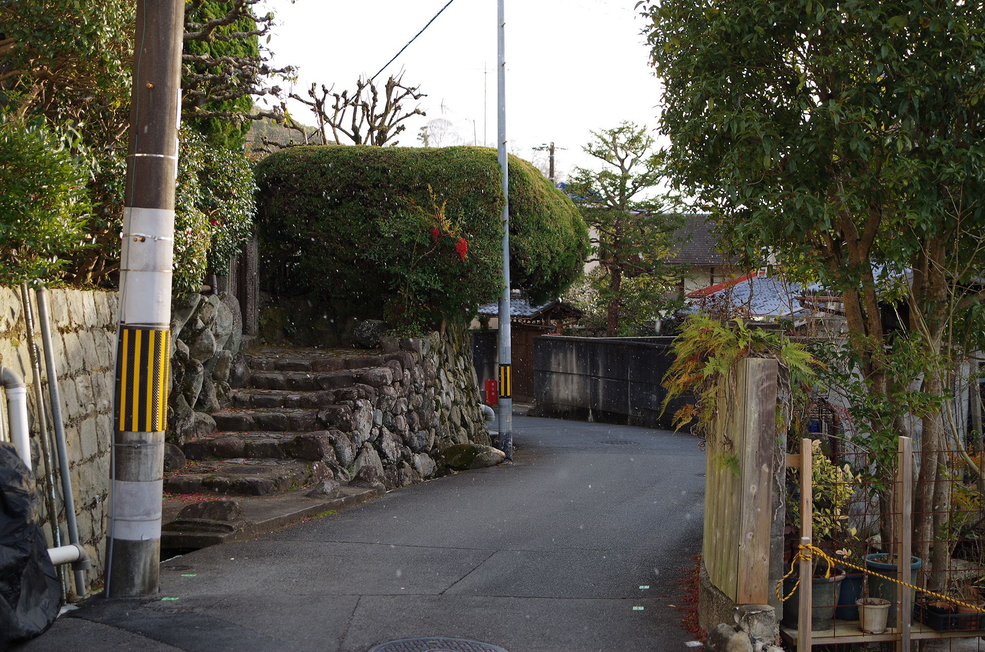 f:id:com:20220118161513j:image