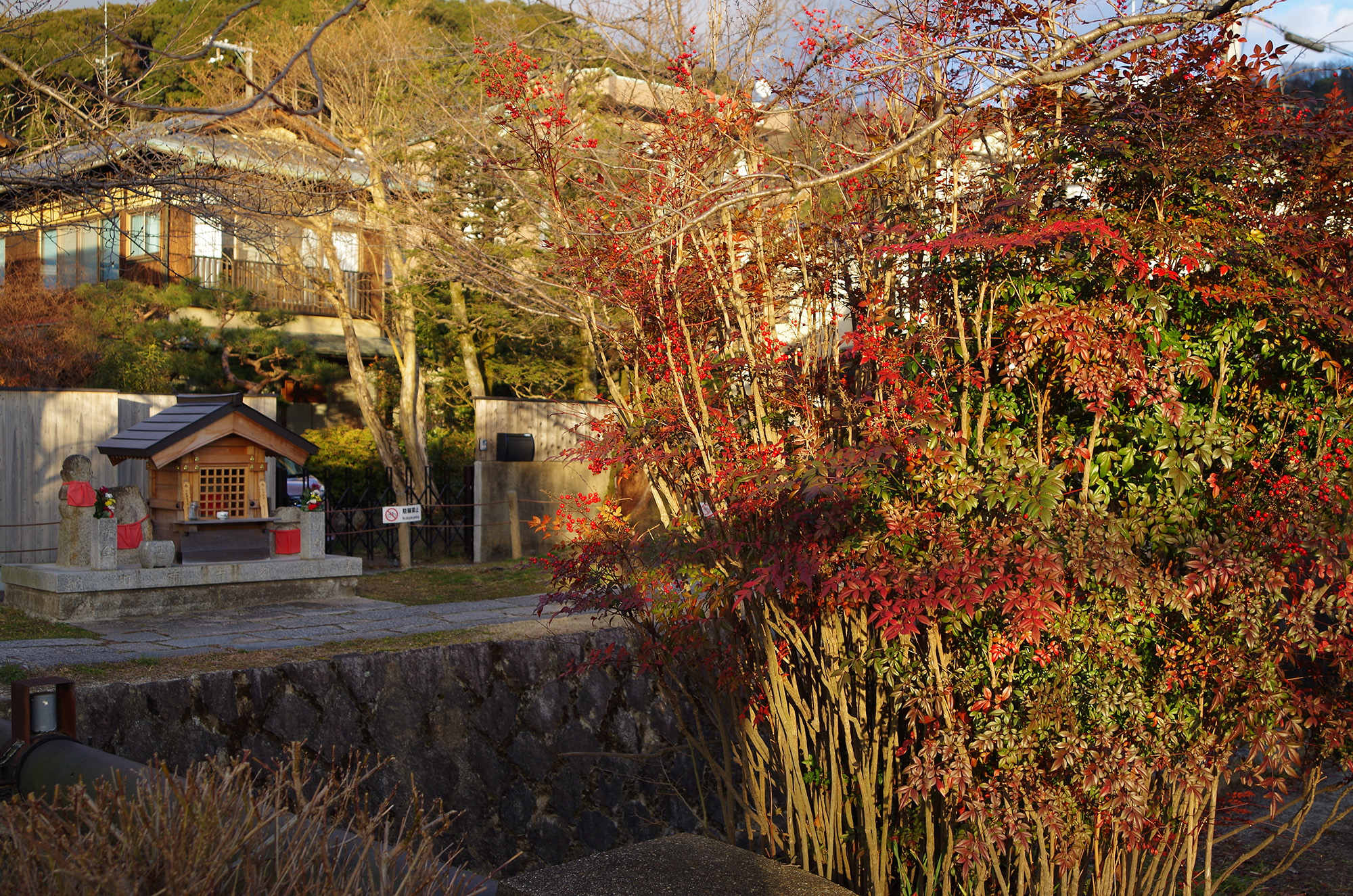 f:id:com:20220118163141j:image