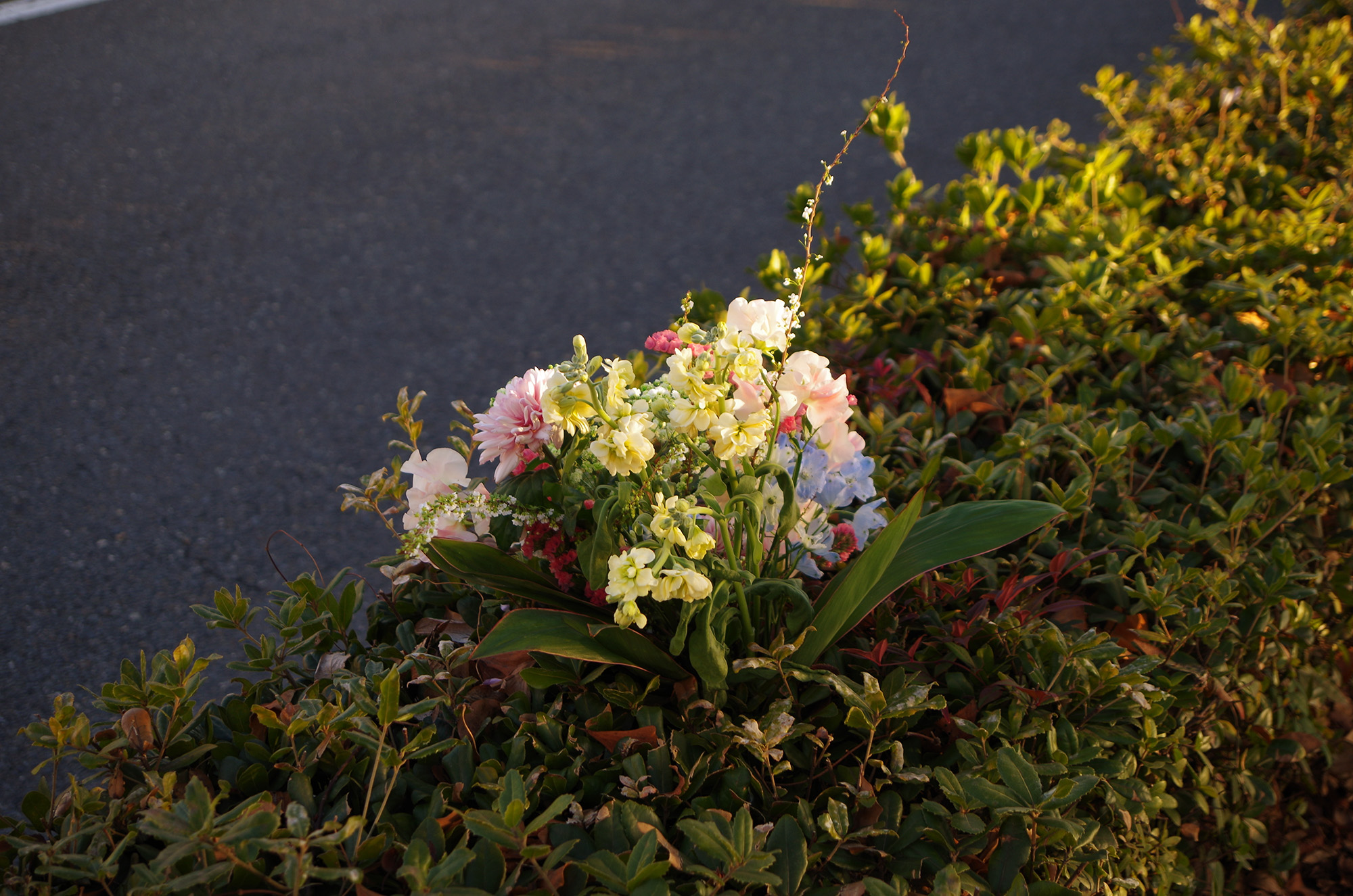 f:id:com:20220131163841j:image