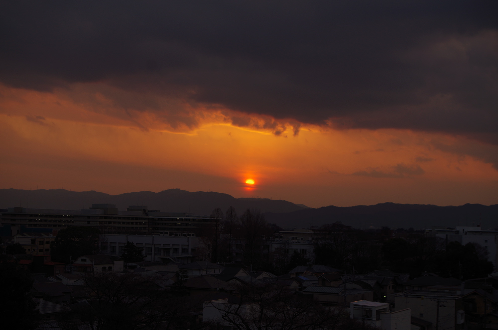 f:id:com:20220202170924j:image