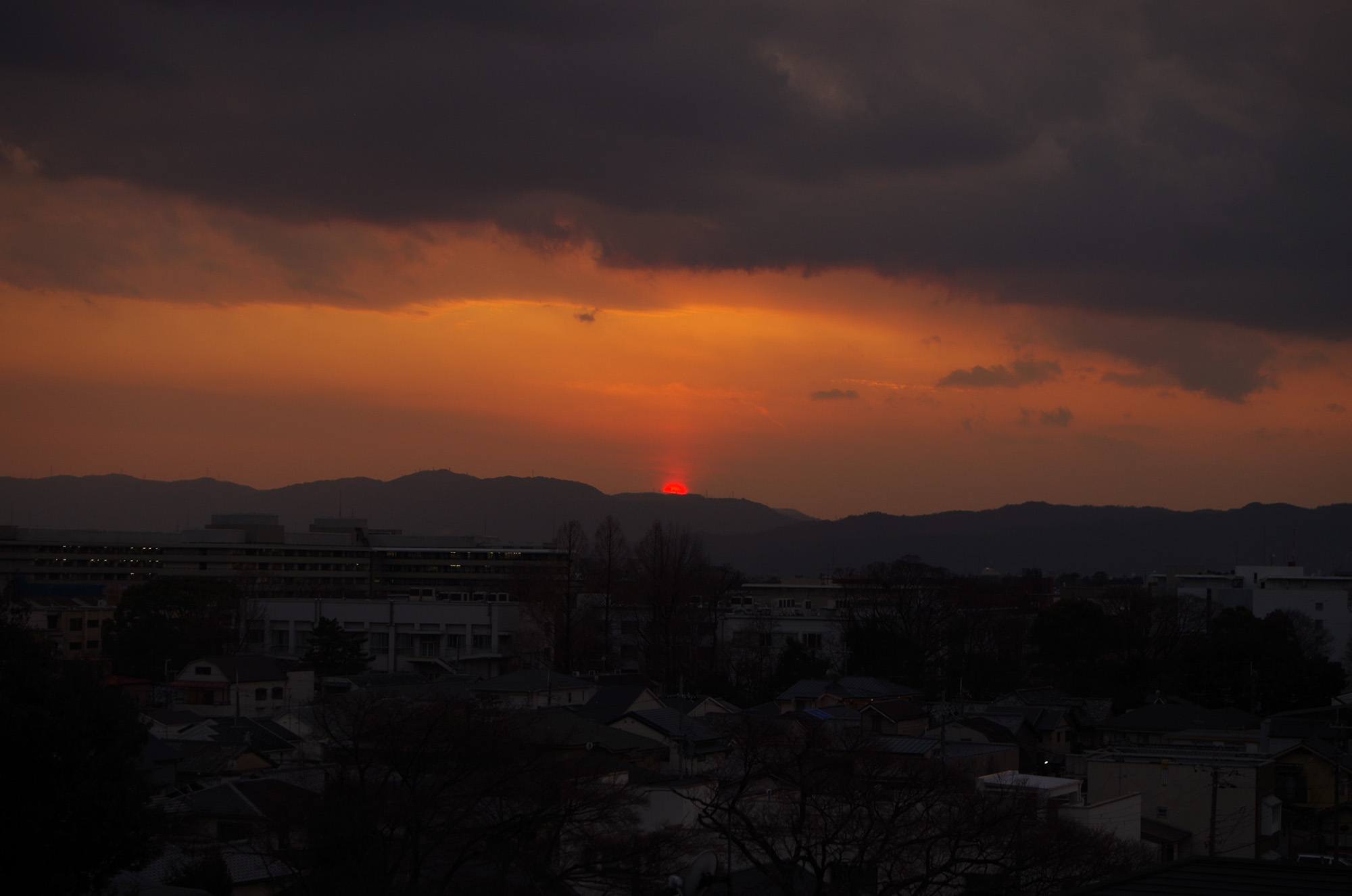 f:id:com:20220202171356j:image
