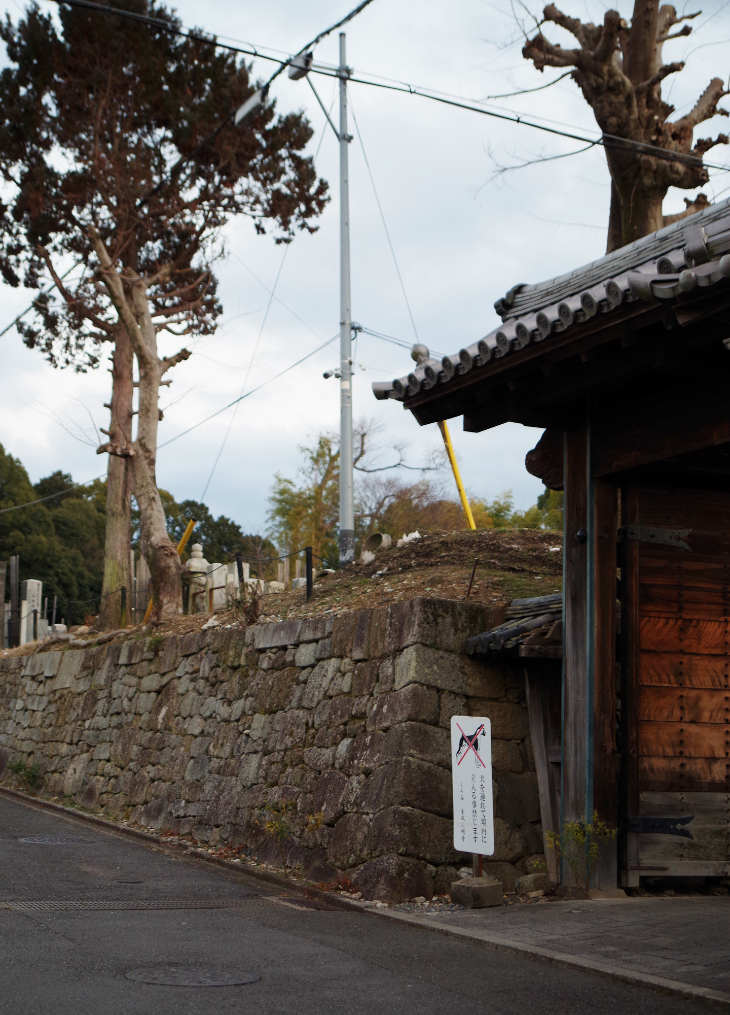 f:id:com:20220225174325j:image