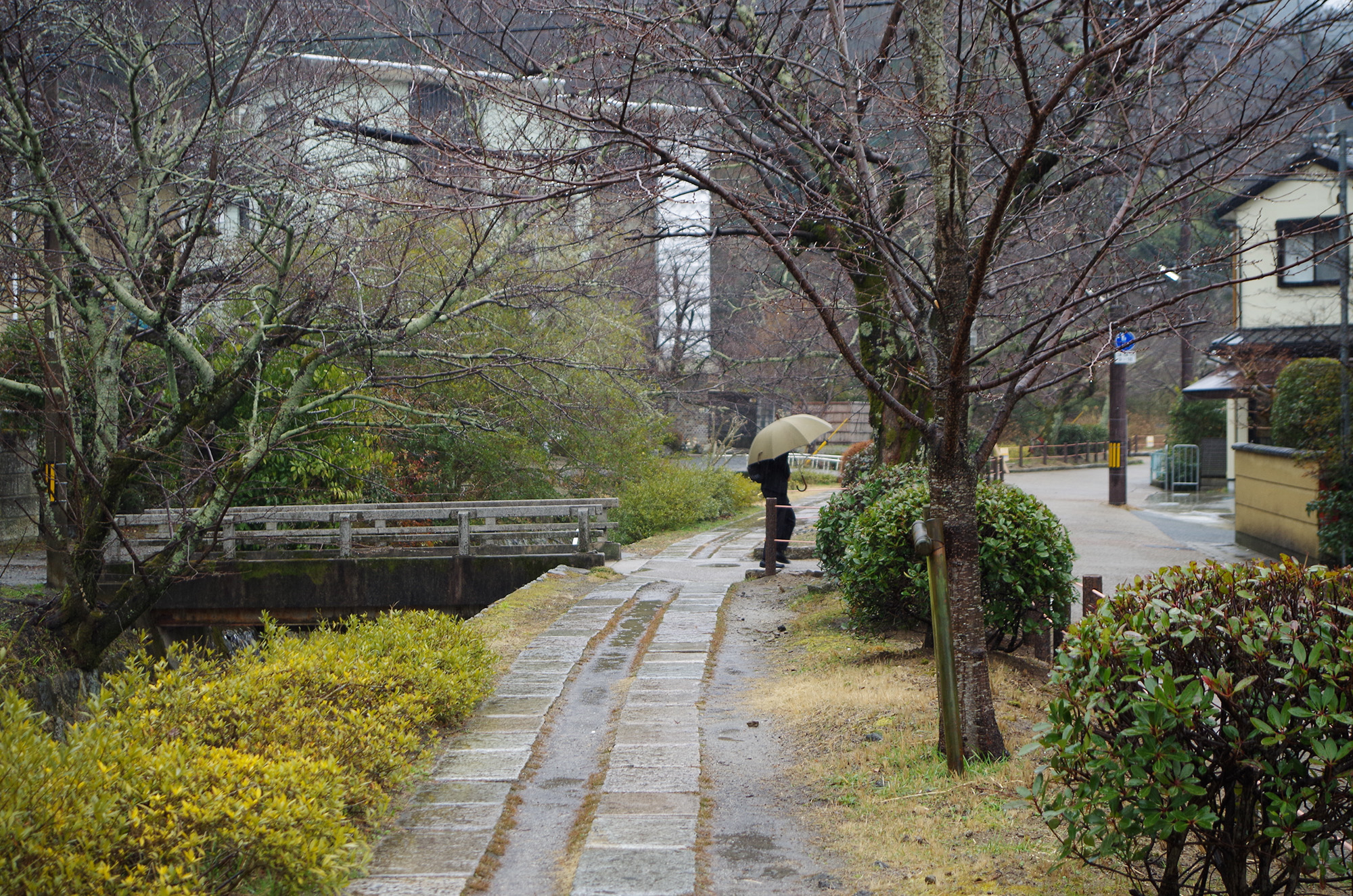 f:id:com:20220301153250j:image