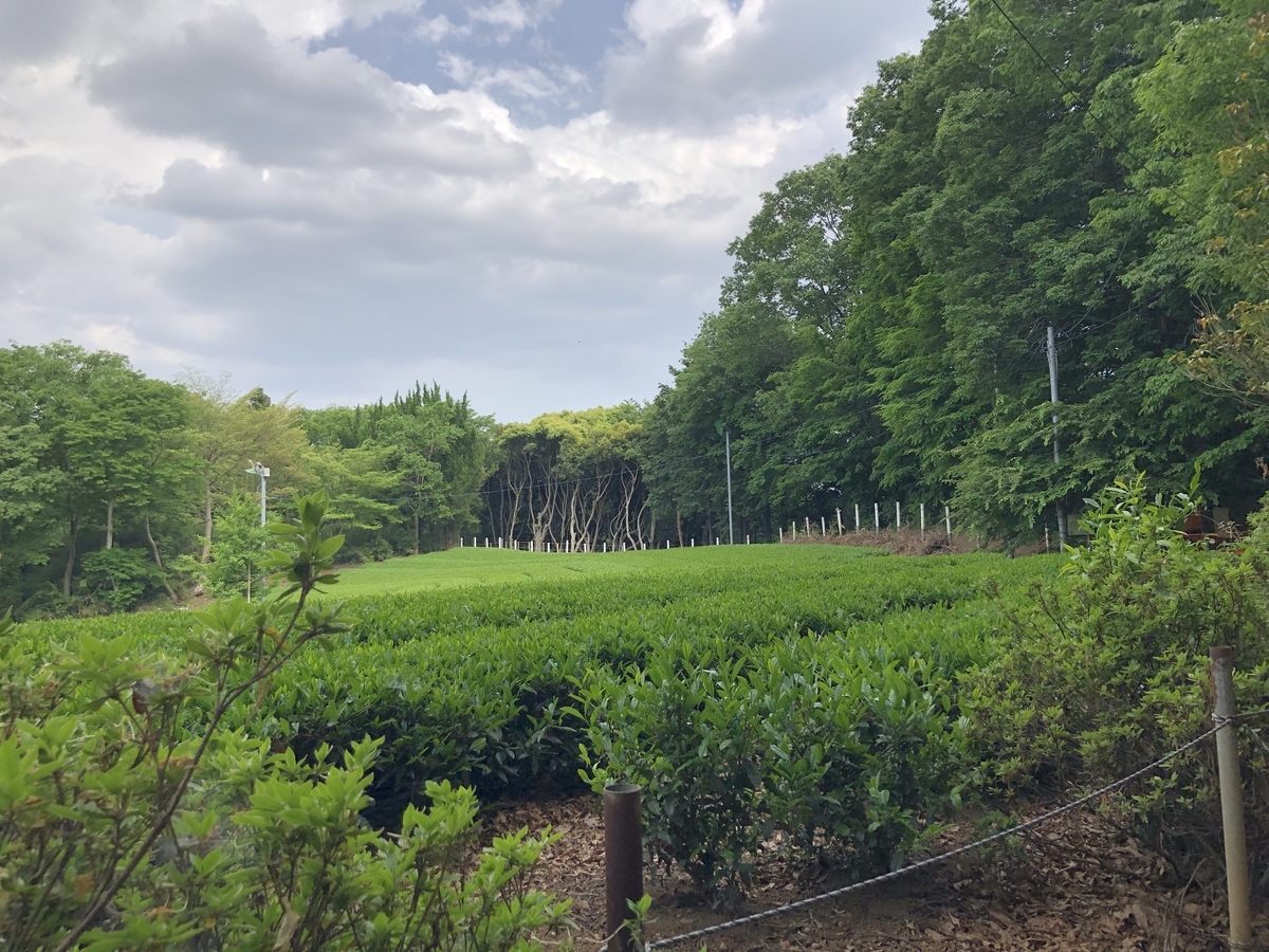 f:id:comaron:20210523191036j:plain