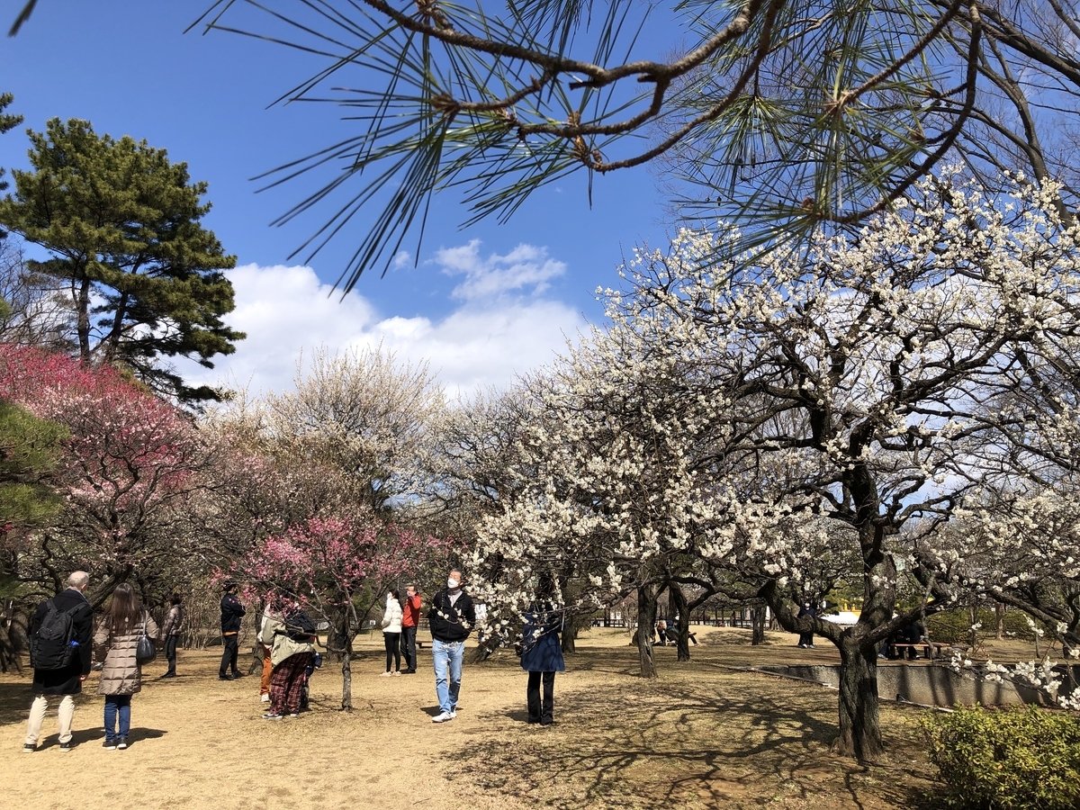 f:id:comaron:20220308072933j:plain