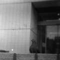 20091114102246