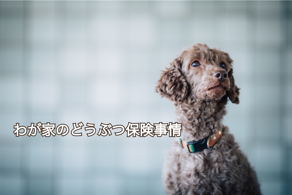 f:id:comeko:20181105001334j:image f:id:comeko:20181105001334j:image