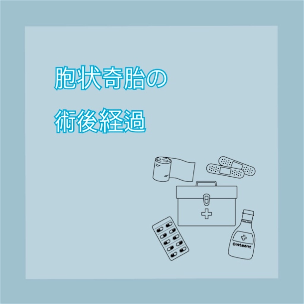 f:id:comeko:20200329084132j:image