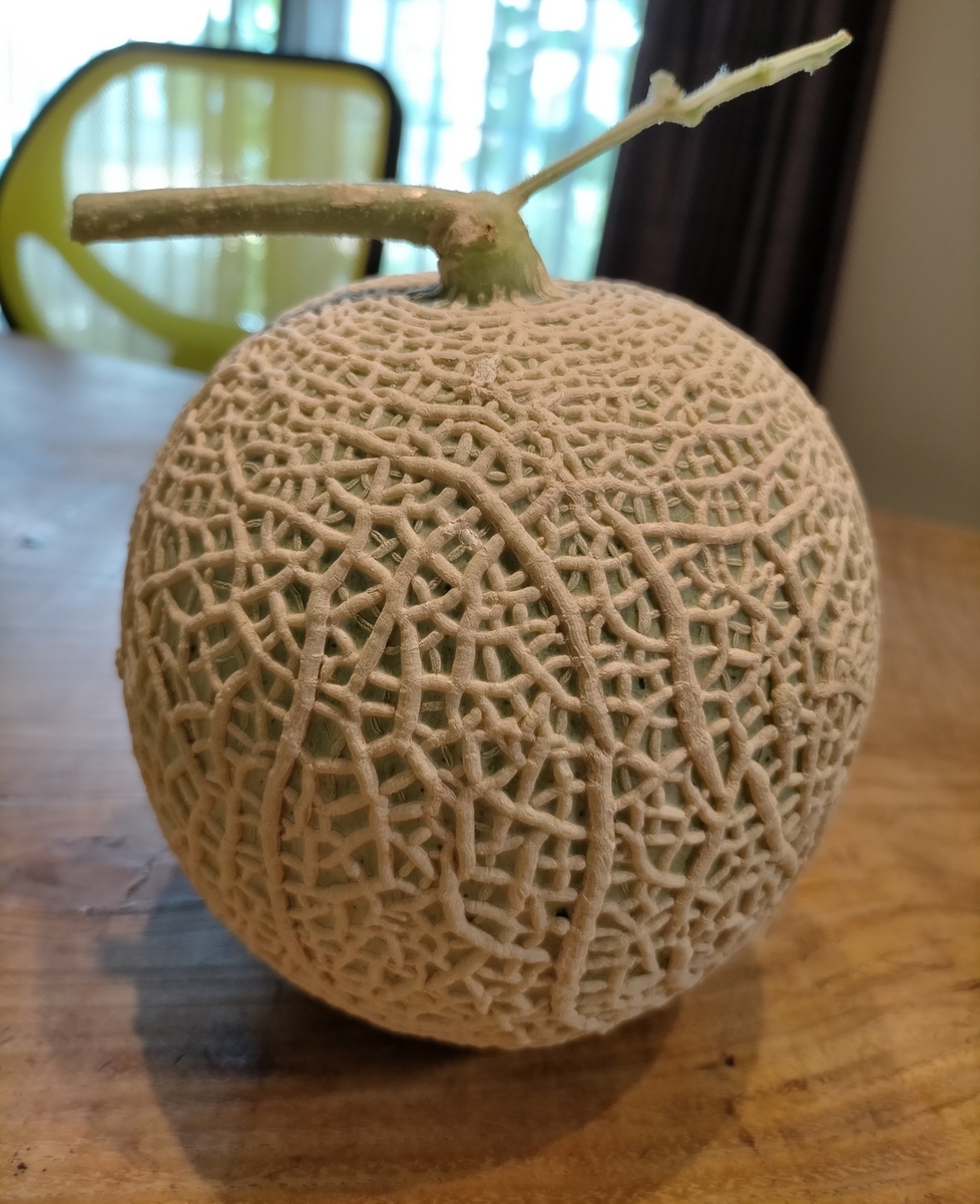 f:id:comeliness:20210730184131j:plain