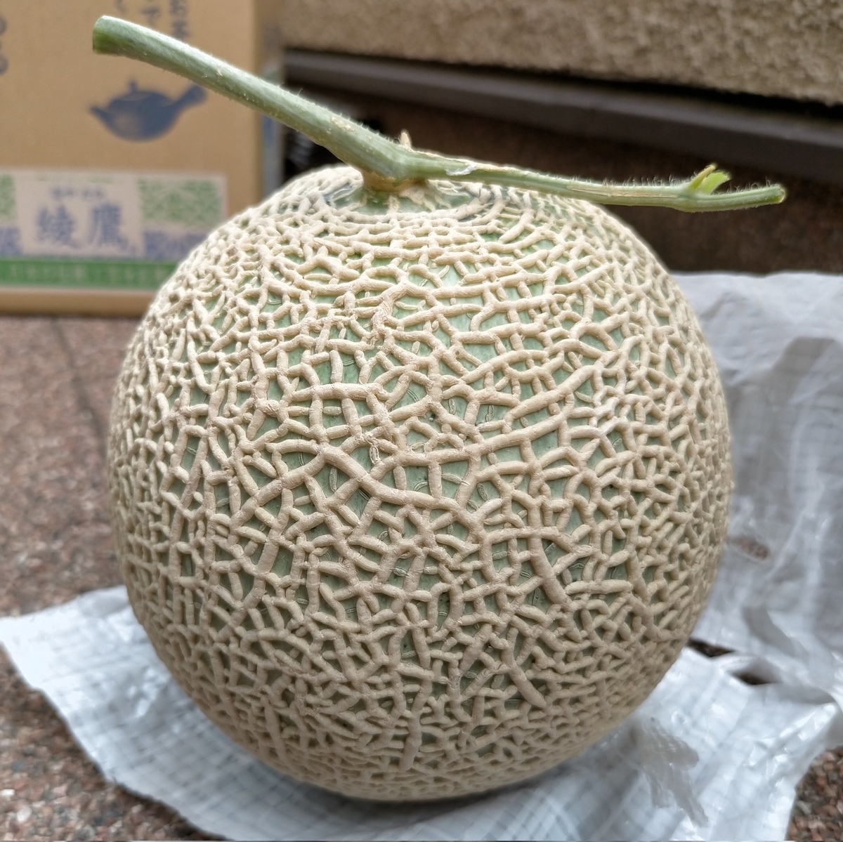 f:id:comeliness:20210807202228j:plain