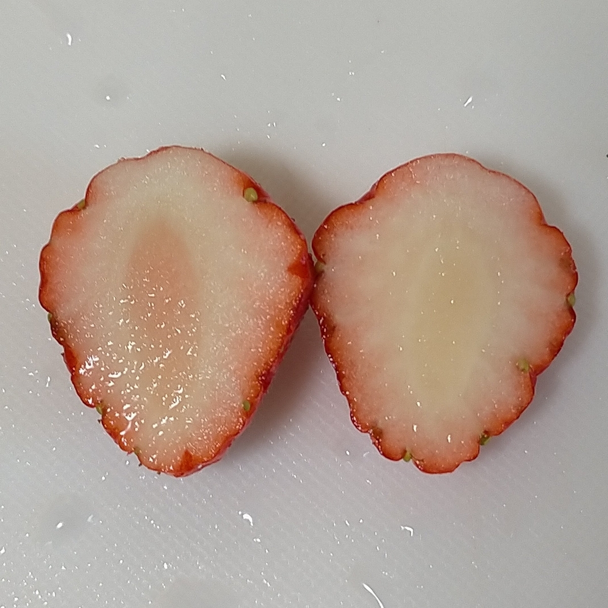 イチゴ初収穫 - ブログ