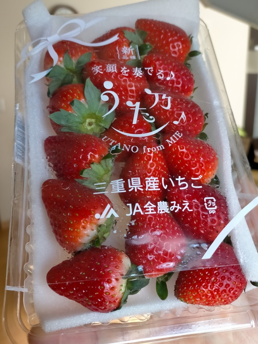 いちごおまとめ11点 厳選いちご食べ比べ！ | 楽彩株式会社のプレスリリース