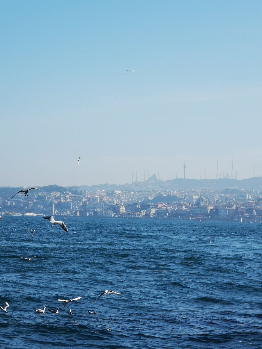 f:id:comeness:20191021063855j:plain f:id:comeness:20191021063855j:plain