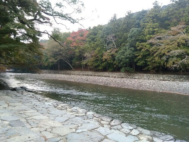 f:id:comeon:20181110153506j:image