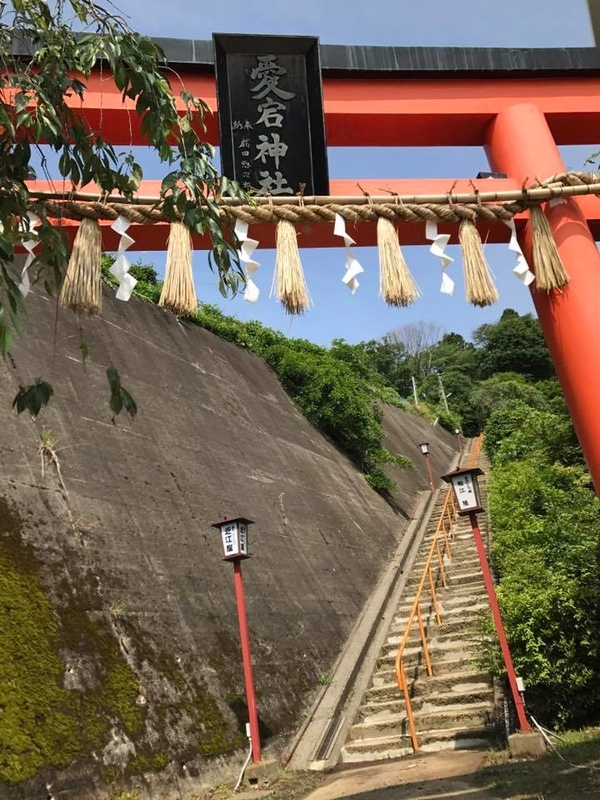 イメージ 1