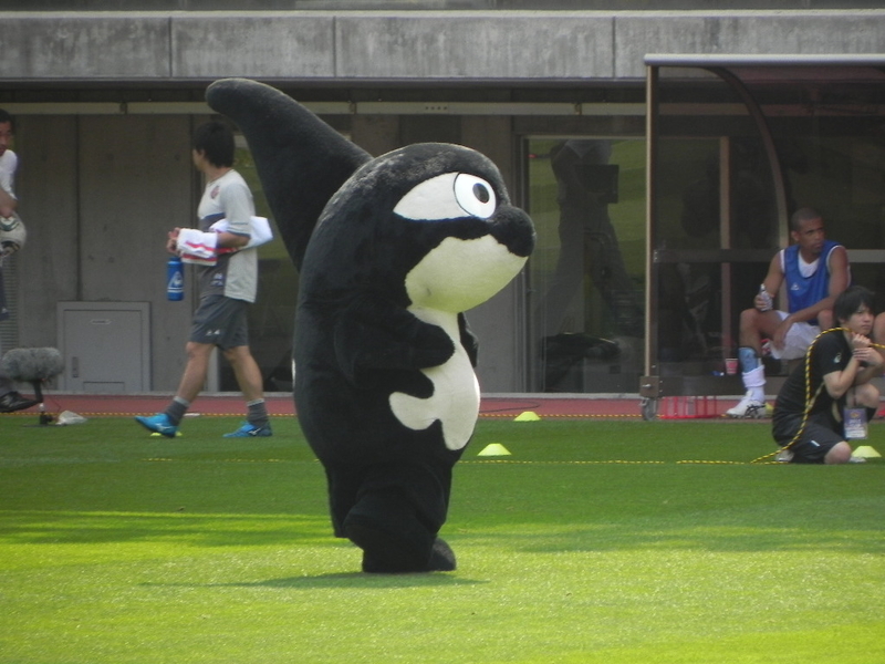 イメージ 9