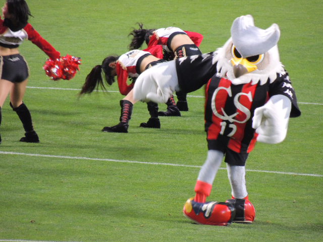 イメージ 4