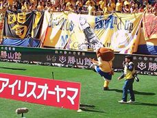 イメージ 6