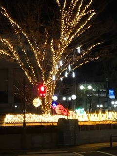 f:id:comeonvega:20191127060058j:plain