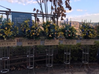 f:id:comeonvega:20191213062446j:plain