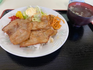 f:id:comeonvega:20201016062826j:plain f:id:comeonvega:20201016062826j:plain