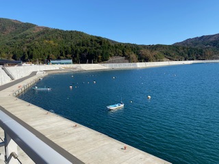 f:id:comeonvega:20201113061212j:plain