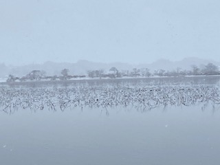 f:id:comeonvega:20201216063902j:plain
